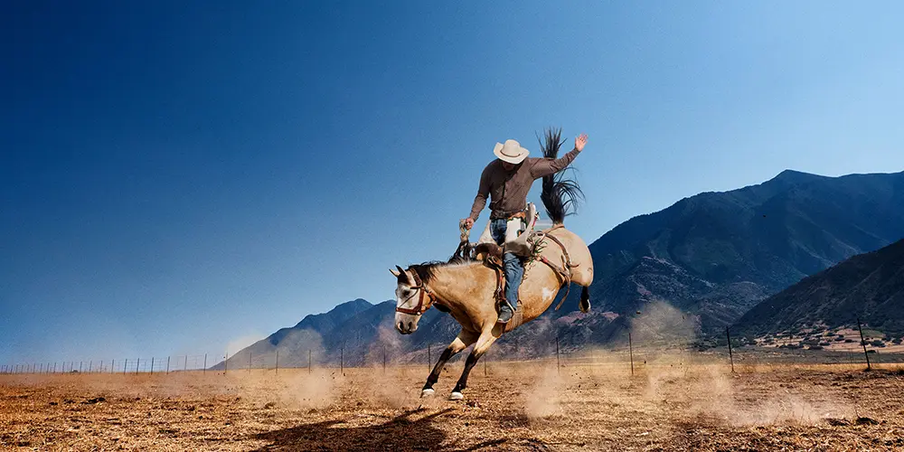 Stock photo of a cowboy riding a bucking horse